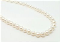 Collana Bliss Donna Perle Akoya in Oro Perla 20067233 - 20067233